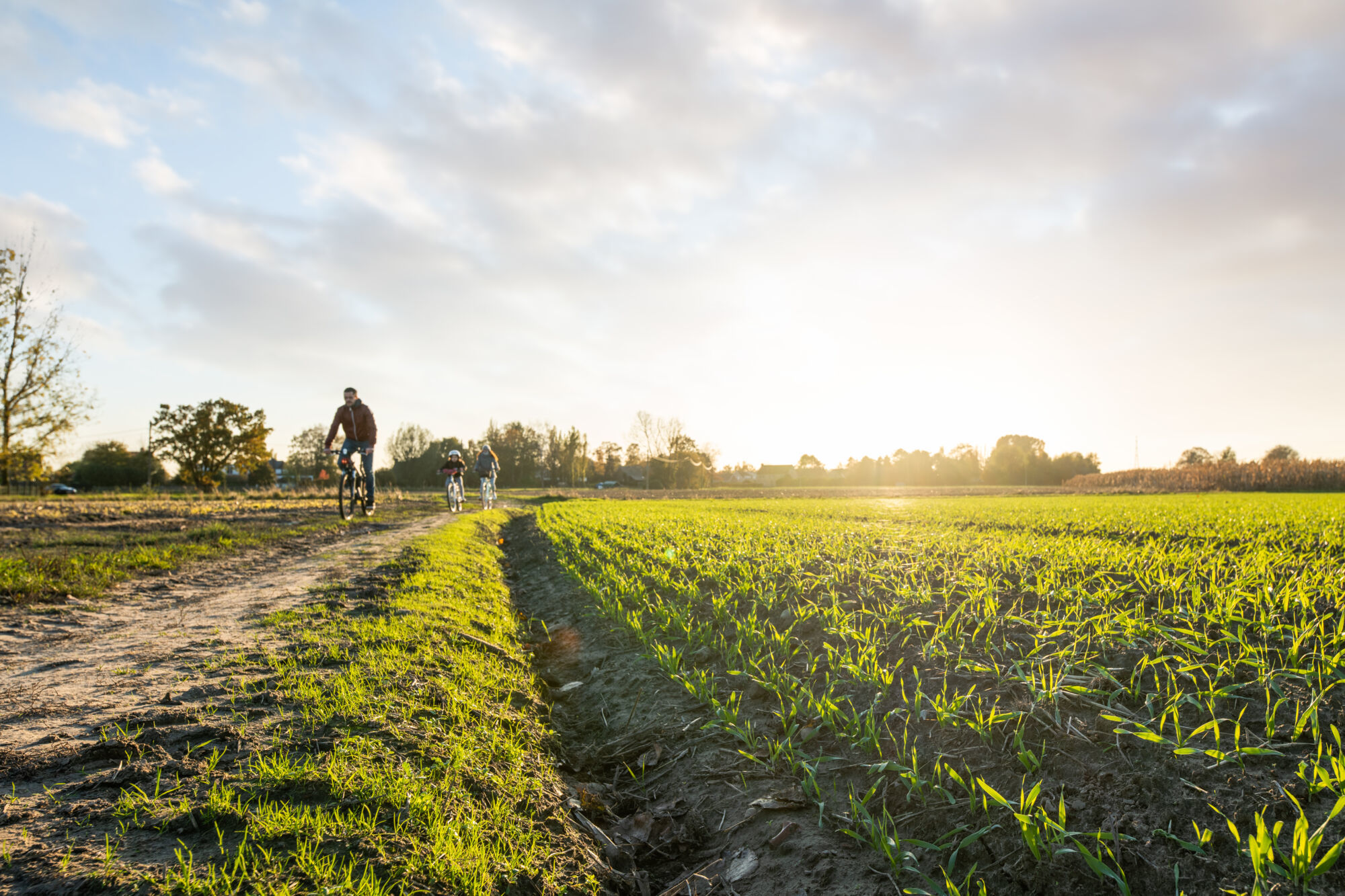 Platteland Leest