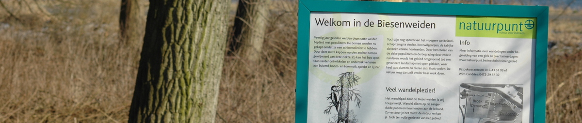Biezenweiden_CopyrightTourismMechelenNatuurpunt.jpg