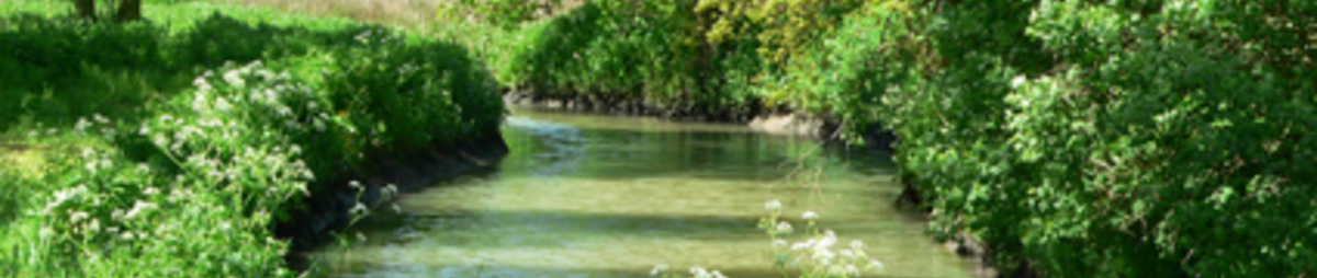 GroeneWandelingBarebeekvallei_CopyrightTourismMechelenEdgardVerhasselt.jpg