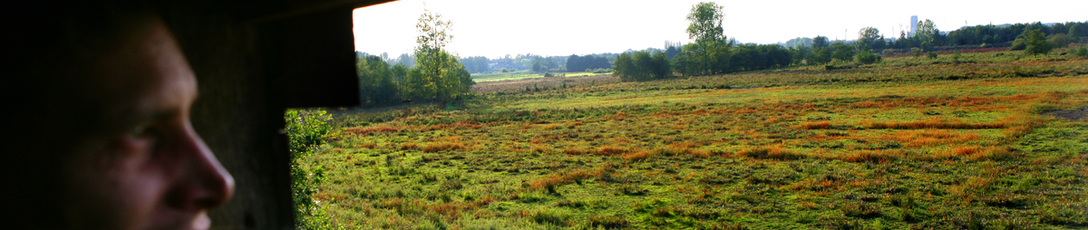 RodeWandeling_CopyrightTourismMechelenLayaAerts.jpg