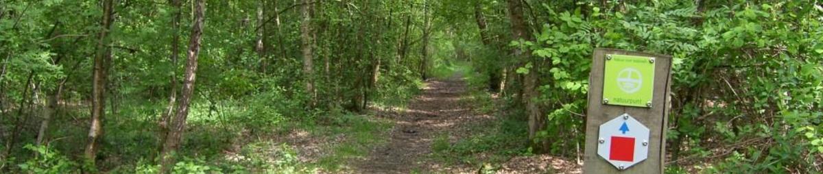 RondeWandelingHondsbossen_CopyrightTourismMechelenTourismSintKatelijneWaver.jpg