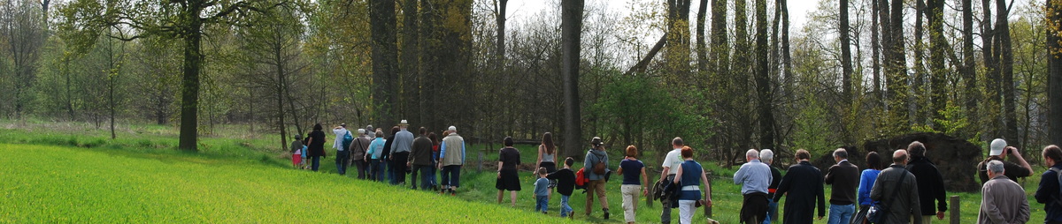 WandelgebiedRivierenland_CopyrightTourismMechelenBertDelanoeije.jpg