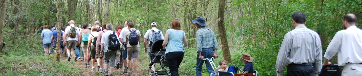 WandelnetwerkRivierenland_CopyrightTourismMechelenMartineCouvreur.jpg