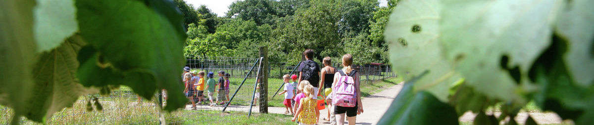 DomeinTivoliGezinnen_CopyrightTourismMechelenLaylaAerts.jpg