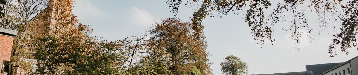 visitmechelen_herfst-40-van-43-.jpg