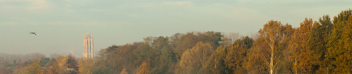 zonsopgang-mechelen-broek-0074.jpg