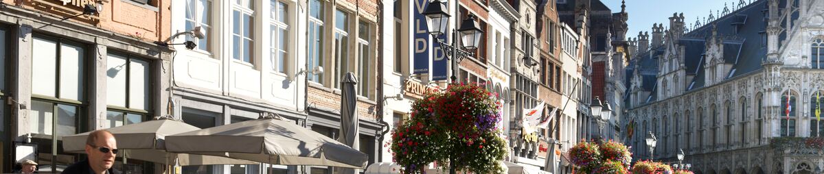 GroteMarkt3_CopyrightTourismMechelenMiloProfi.jpg