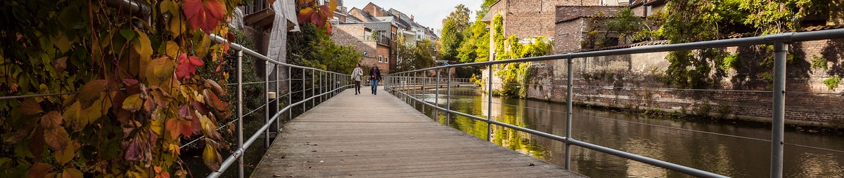 004-herfst-mechelen-20131020.jpg