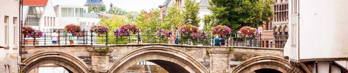 De grootbrug in Mechelen.jpg