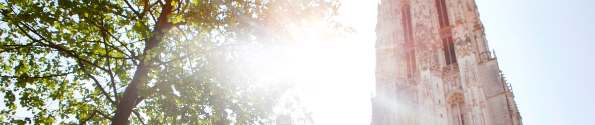 lente_banner.jpg