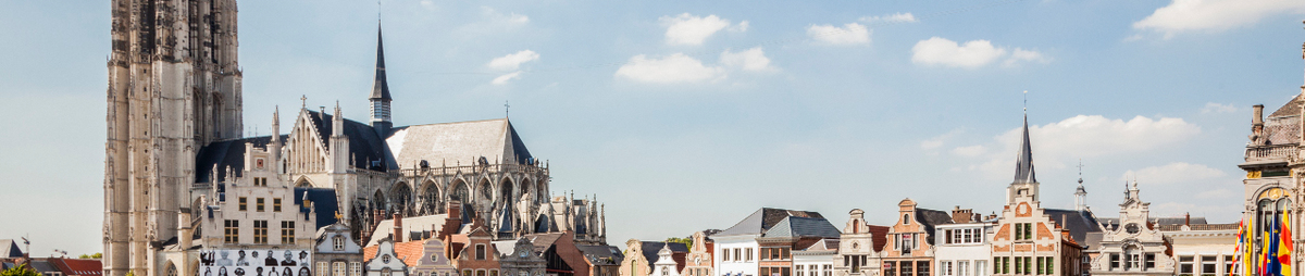 GroteMarkt_CopyrightTourismMechelenAikonProducties.jpg