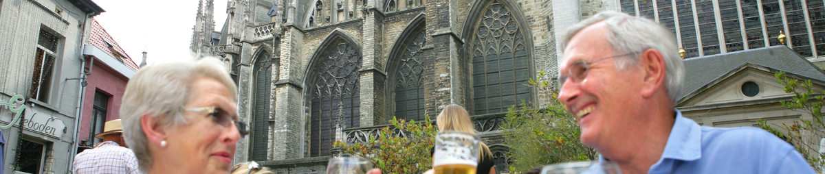 Wollemarkt_CopyrightTourismMechelenLaylaAerts.jpg