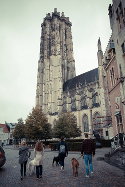 Beestige Wandeling Visit Mechelen