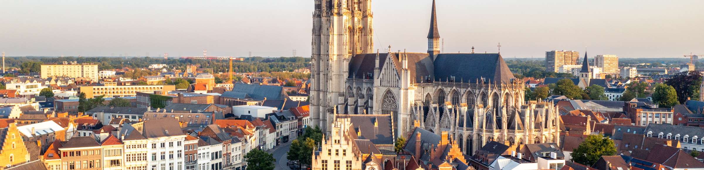 Construct Europe 2024 Visit Mechelen   Cover Visit 7 